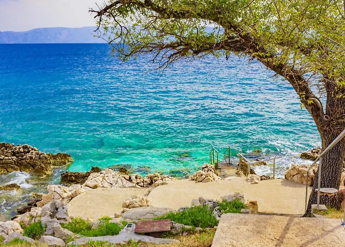 Unit_type_holiday_room 53454